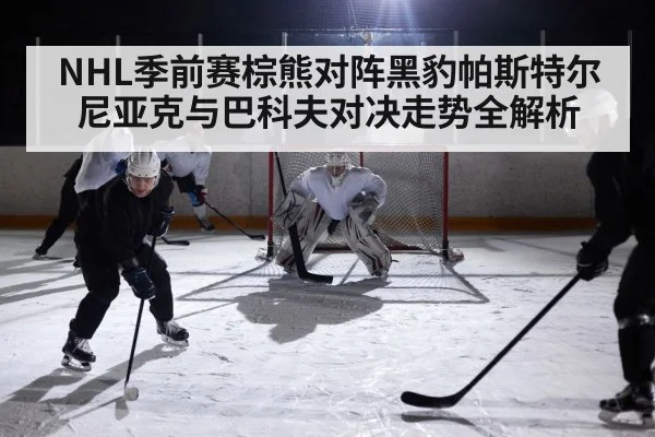 NHL季前赛棕熊对阵黑豹帕斯特尔尼亚克与巴科夫对决走势全解析 - kaiyun.com